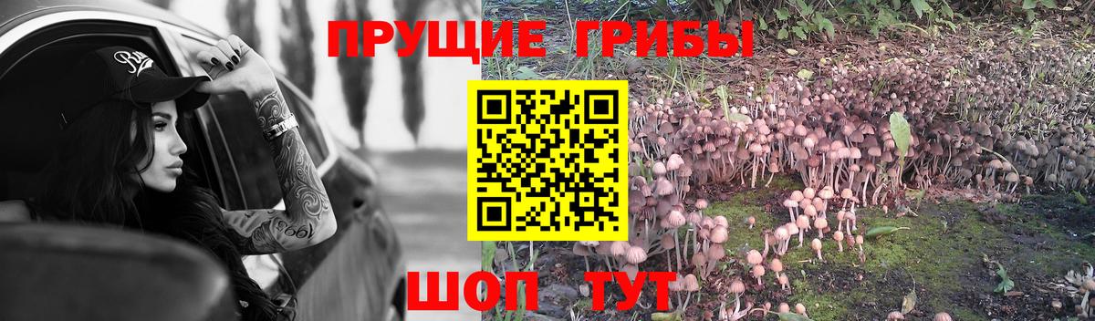 что такое   Галлюциногенные грибы мицелий  Вход с VPN  Южноуральск 